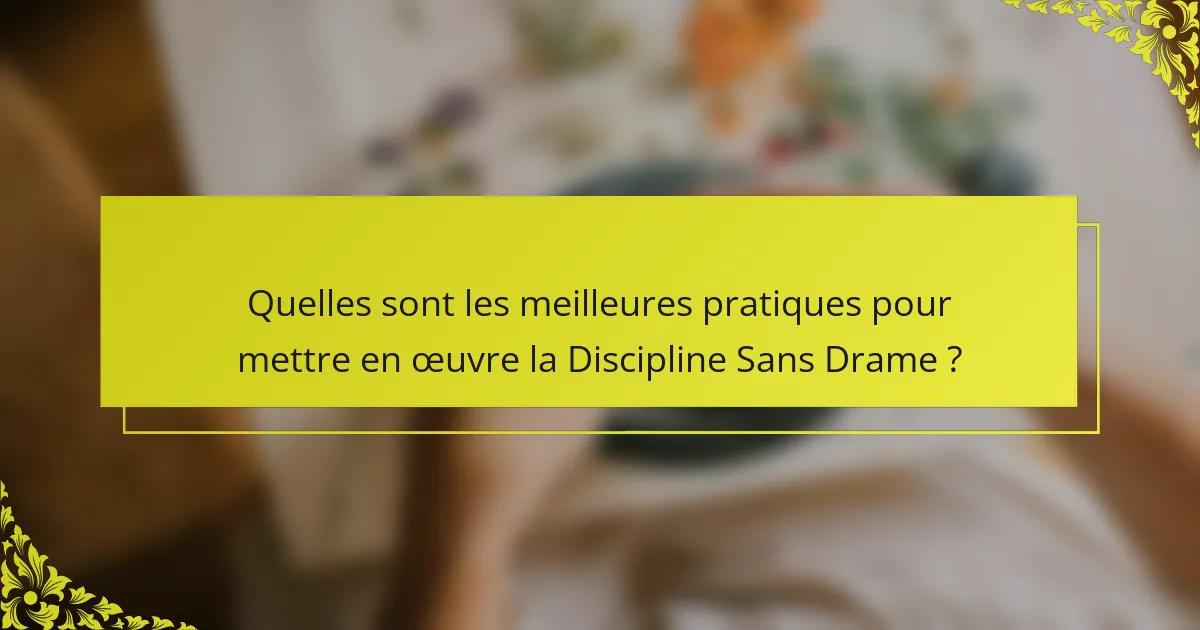 Quelles sont les meilleures pratiques pour mettre en œuvre la Discipline Sans Drame ?