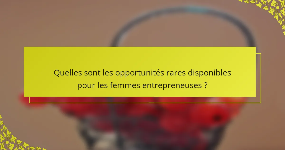 Quelles sont les opportunités rares disponibles pour les femmes entrepreneuses ?