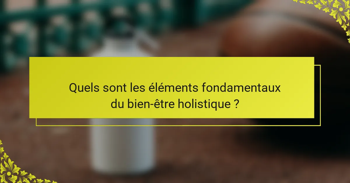 Quels sont les éléments fondamentaux du bien-être holistique ?