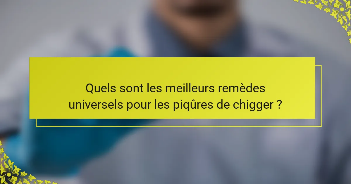 Quels sont les meilleurs remèdes universels pour les piqûres de chigger ?